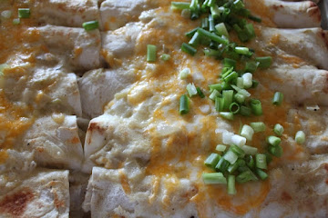 Family Favorite Chicken Enchiladas