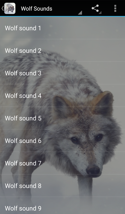 Wolf Sounds Android Apps on Google Play