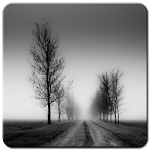Cover Image of Baixar Black and White Wallpaper HD 1.0 APK