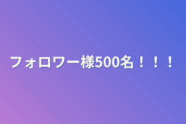 フォロワー様500名！！！