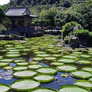 青青食尚花園會館