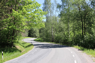 Pühajärve-Pukamõisa maantee Arulas