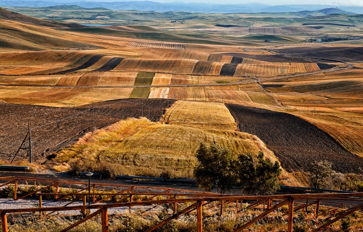 Autunno a scacchi di Diana Cimino Cocco