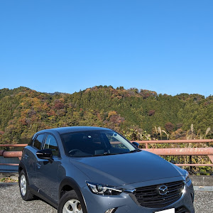 CX-3 DKLFW