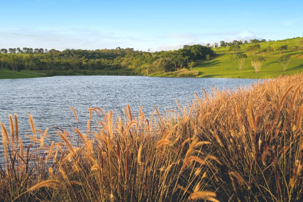 Fazenda Boa Vista, Terreno bem localizado à venda, 10000 m² por R$ 18.000.000