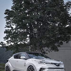 C-HR ZYX10