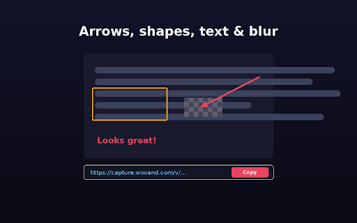 WooCapture screenshot 3