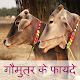 Download गौमुत्र के फायदे For PC Windows and Mac 1.0