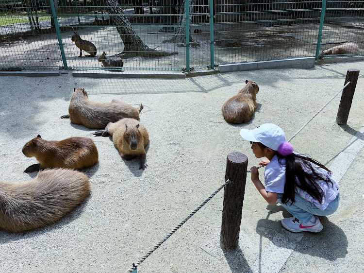 の投稿画像7枚目