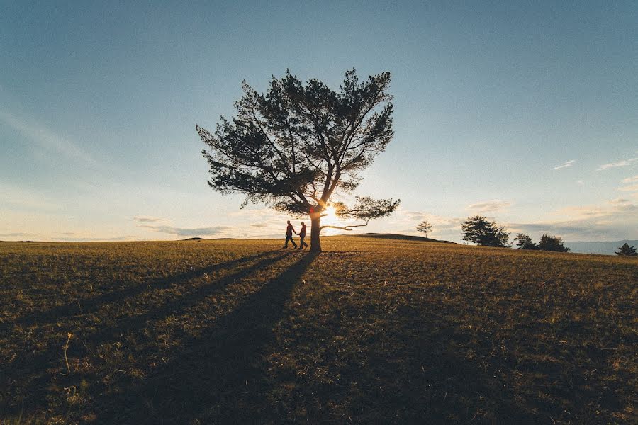 Düğün fotoğrafçısı Denis Anurev (ideapix). 2 Haziran 2014 fotoları