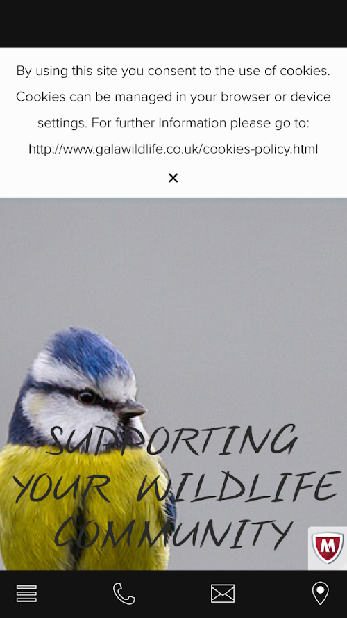 Android application Gala Wildlife screenshort