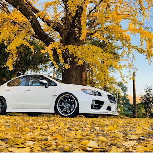 WRX STI VAB