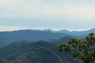 特徴的な冠山