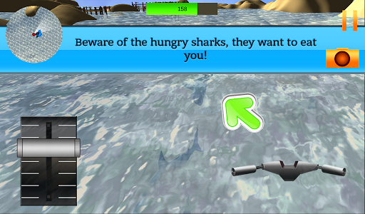 Hungry Jaws Of Shark