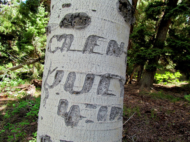 Aspen carving: Glen Day, July 4, 1900 (left side)