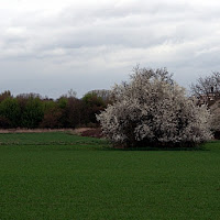 Compresso tra cielo e terra di 