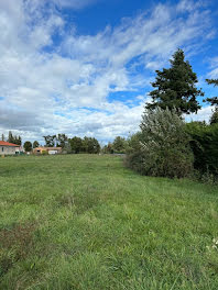 terrain à Saint-Cyr-sur-Menthon (01)