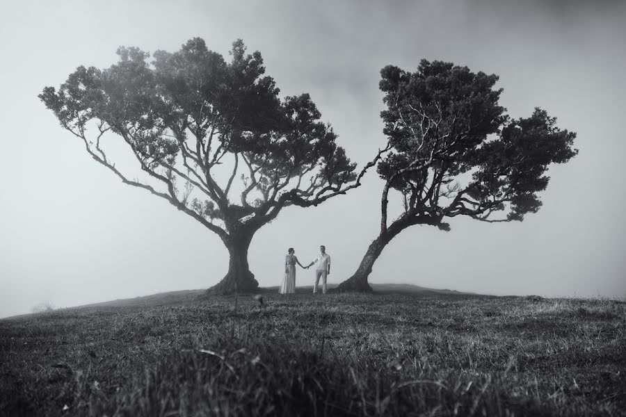 Photographe de mariage Andriy Petryna (artfoto). Photo du 6 novembre 2018