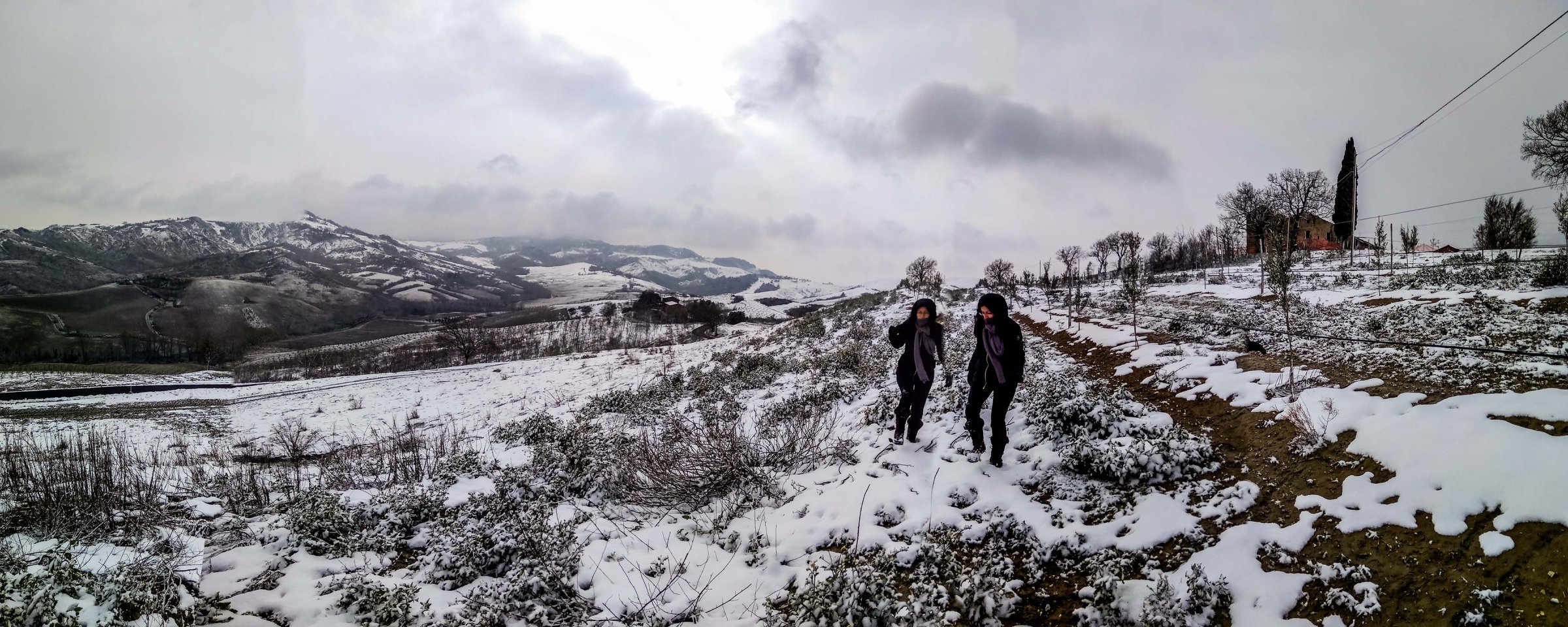 Cloni e neve di ytse_jam