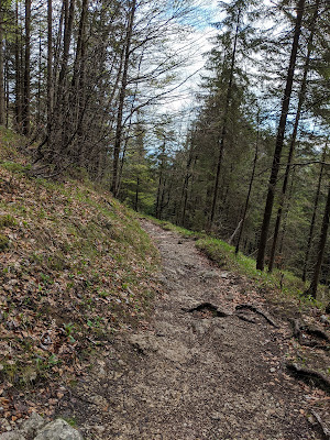 Descend from Aiblinger Hütte