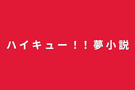 ハ イ キ ュ ー ！！ 夢 小 説