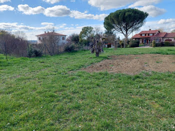 maison neuve à Montastruc-la-Conseillère (31)