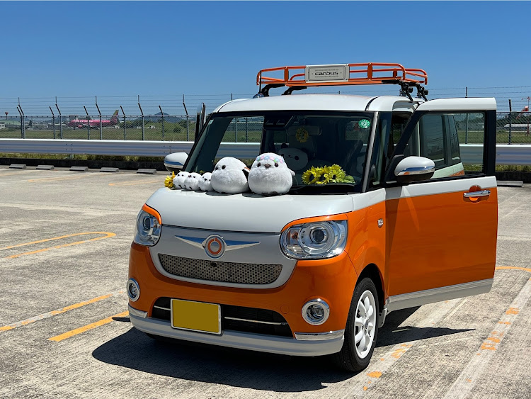 ムーヴキャンバスの青空の下で…・梅雨入り前の最後の青空・パタパタウラちゃん🍊・シマエナガも日干し・あなたの推し撥水コートは？に関するカスタム事例の投稿画像5枚目