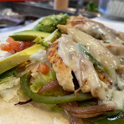 Grilled Chicken Fajita Wrap Special