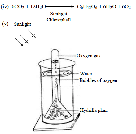 ICSE Class 10 Biology Qs Paper 2019 Solution-4