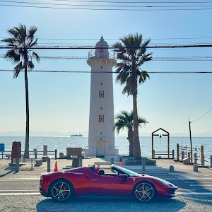 296 GTS