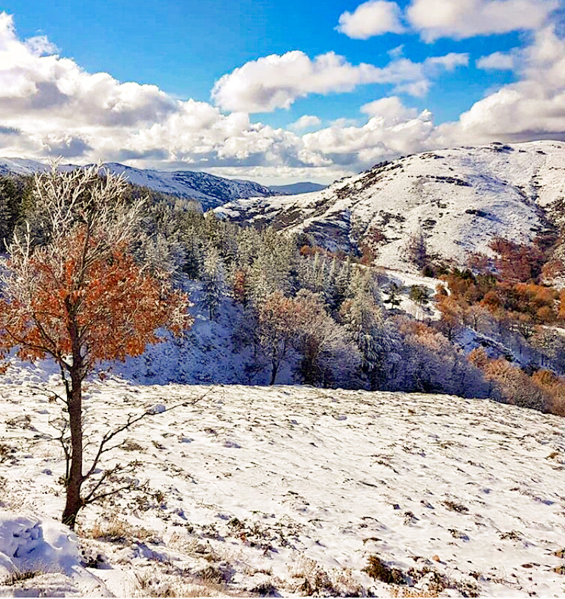 Sfumature d'inverno di mony29