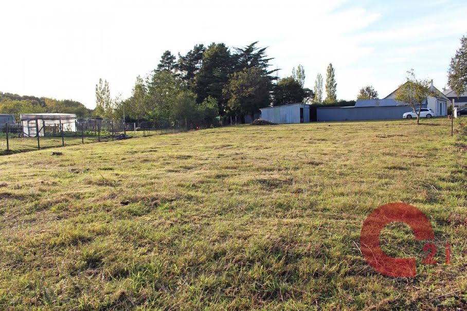 Vente terrain  531 m² à Sainte-Reine-de-Bretagne (44160), 55 000 €