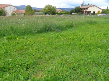 terrain à Le Puy-en-Velay (43)