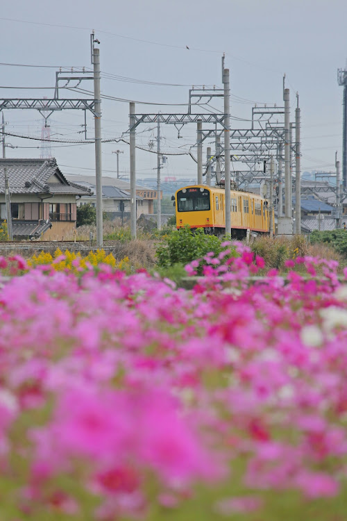 の投稿画像3枚目