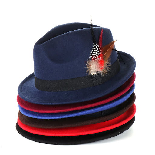 Title 7, Fashion Mens And Womens Woolen Feather Hat
