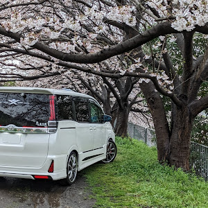 ヴォクシー ZRR80W