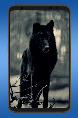 Wolf Live Wallpaper 3d66 - Última Versión Para Android - Descargar Apk