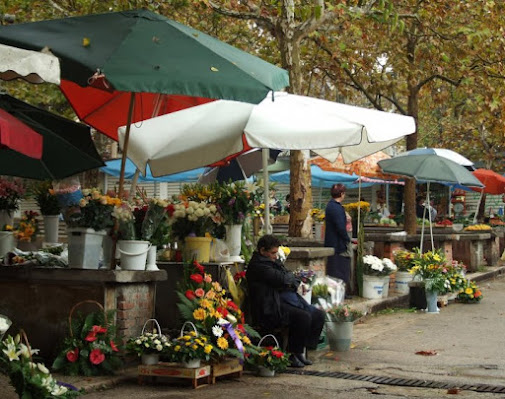 FIORI DELL'EST di bubamara