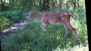 Non-Residents In Kansas thumbnail