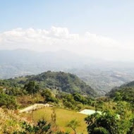 鍾鼎山林 雲海景觀咖啡廳・老薑蒸足浴