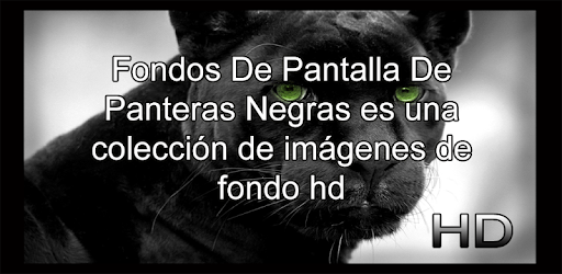 Descargar Fondos De Pantalla De Panteras Negras para PC gratis - última  versión - com.caterpillar264.fondodepantalladepanteras