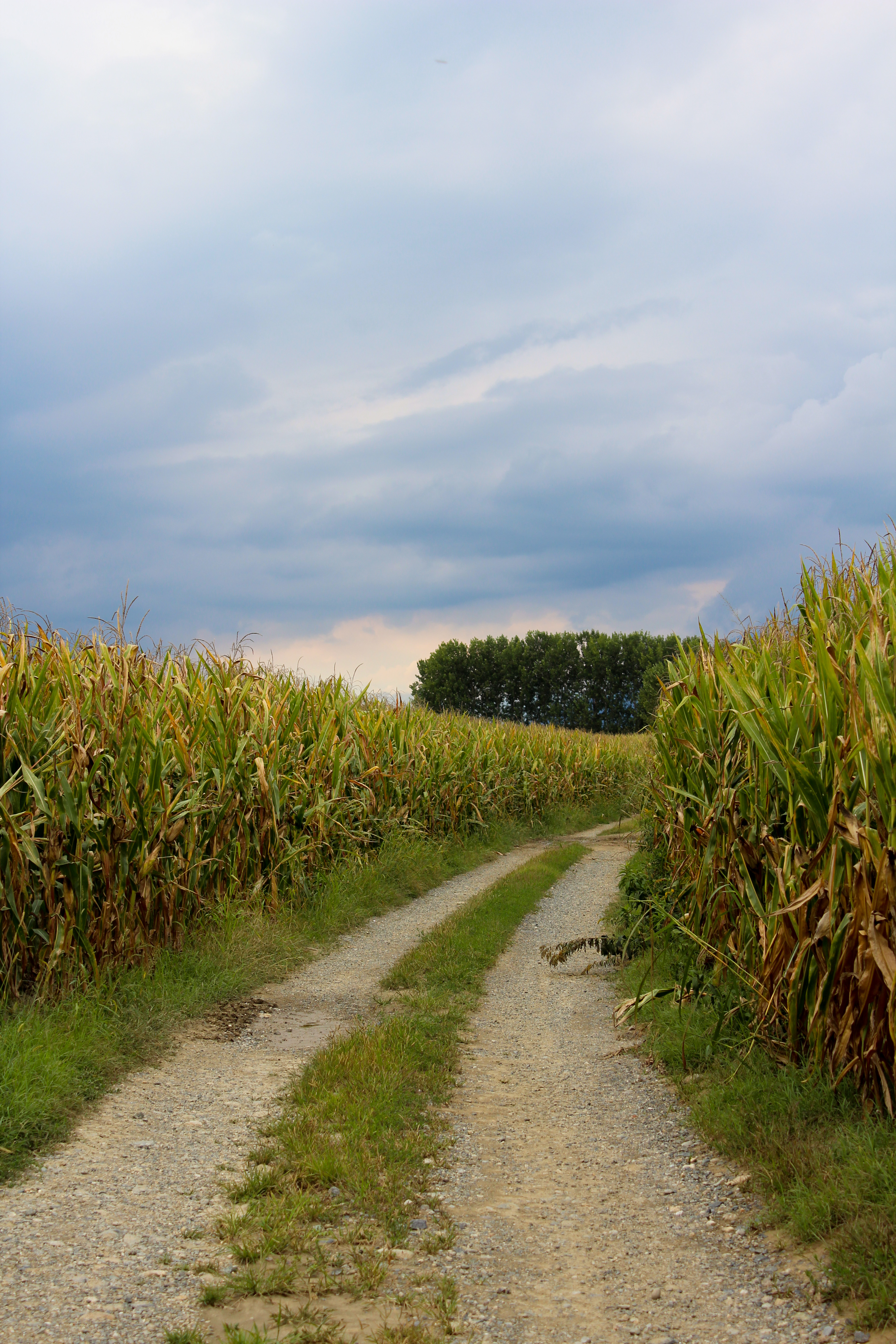 Una passeggiata per i campi di Valeria_Garda