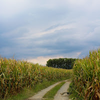 Una passeggiata per i campi di 