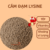 Cám Đạm Lysine Hns Kích Size Cho Tép Cảnh, Cá Tầng Đáy - Thức Ăn Cho Tép Cảnh - Hingaostore.