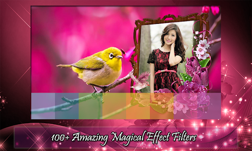 Bird Photo Frames(圖6)-速報App