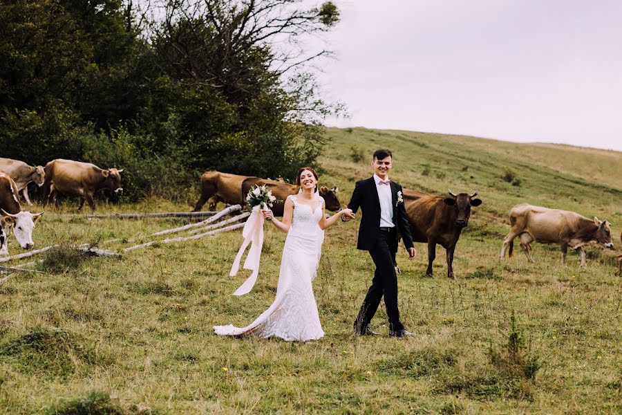 Photographe de mariage Andre Devis (davis). Photo du 16 janvier 2019