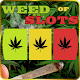 Weed Slots Jackpot