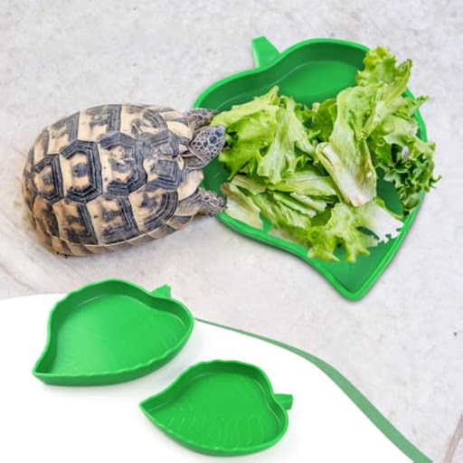 Title 5, 2 Pcs Leaf Reptile Food & Water Bowl Dish for T...