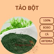 Tảo Bột Nuôi Cá, Bobo, Artemia Sinh Khối - Thức Ăn Cá Cảnh - Hingaostore.