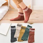 8color